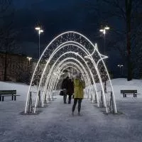Комплект из световых арок «Тоннель желаний» - AR 61